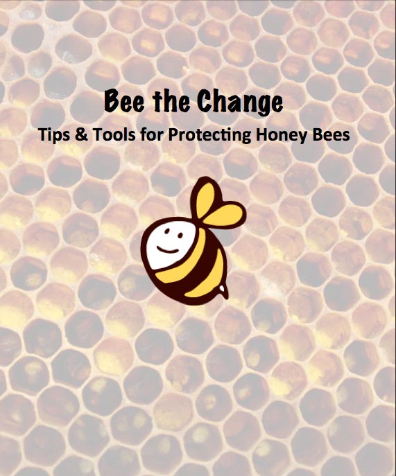 bee the change toolkit cover