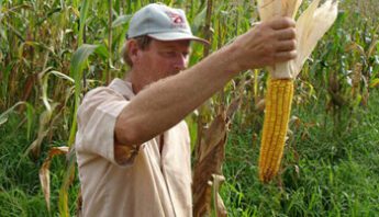 BrazilianFarmer-maize