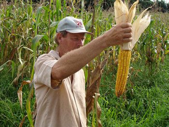 BrazilianFarmer-maize