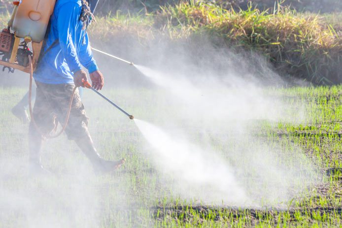 Monsanto You Scared Pesticide Action Network Pan 