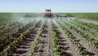 Spraying-young-cotton-plants-in-a-field