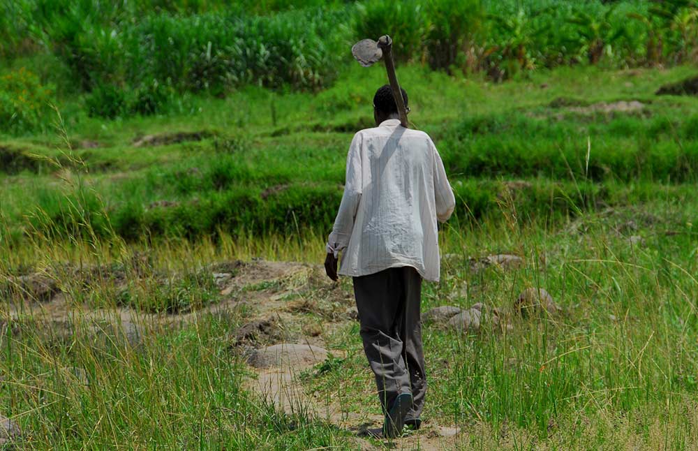 african-farmer-walking