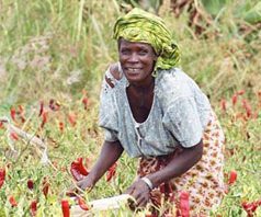 african-woman-farming
