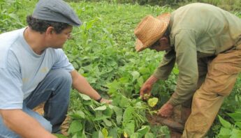 agroecology-farmers