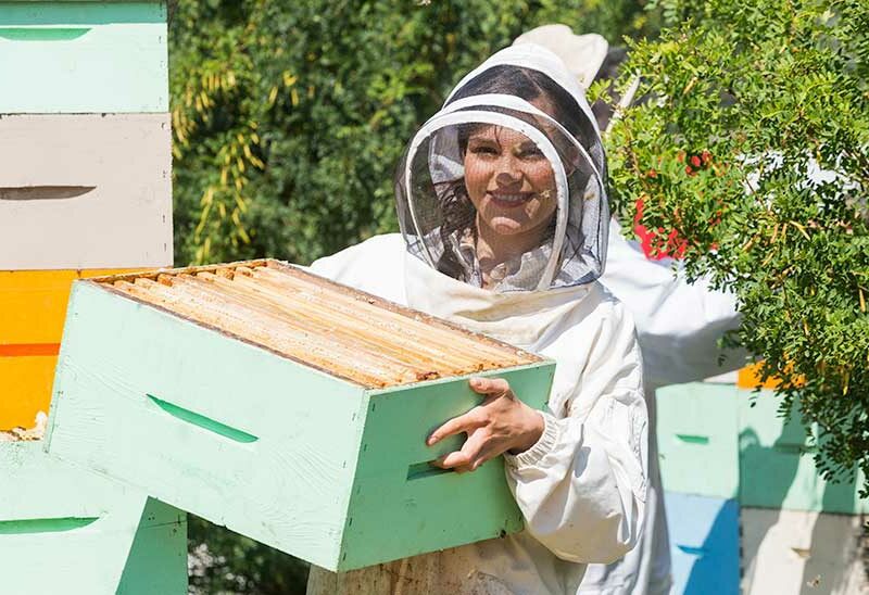 beekeeper-president