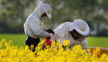 beekeepers-blog