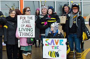 bees-supporters-minnesota-300