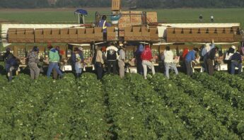 ca-farmworkers