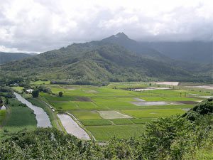 hawaii-farmland