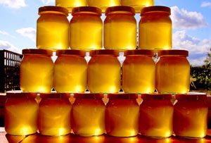 honey-jars