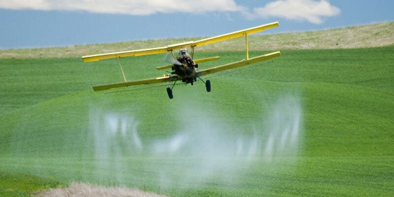 lead image cropduster 1