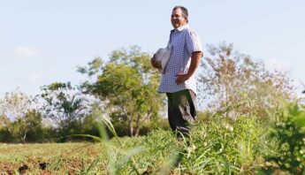 lead image farmer dicamba release 1