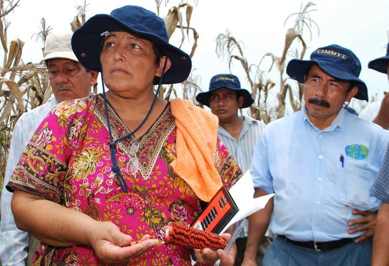mexican-corn-farmer