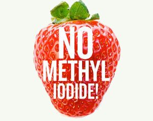 no-mei-strawberry