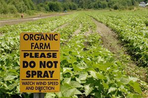 organic-farm-no-spray