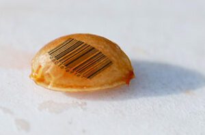 seed-barcode2
