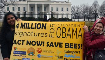 white-house-bees-petition