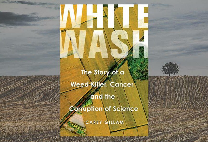 white-wash-book