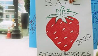 20130828 safestrawberries sign 300