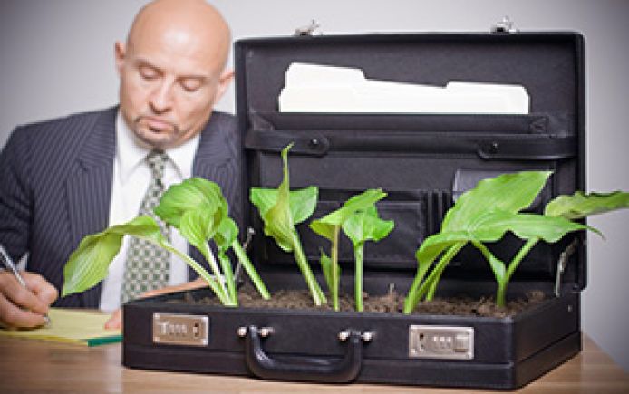 business man plants briefcase 0