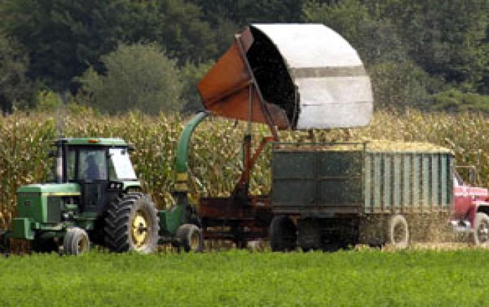 corn field tractor