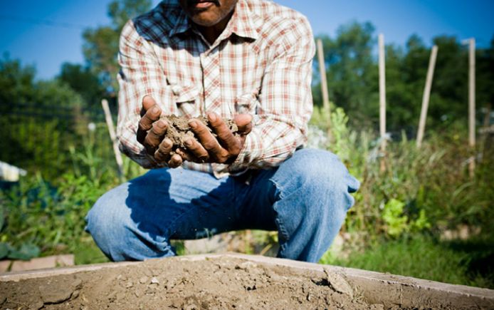 farmworker soil wps