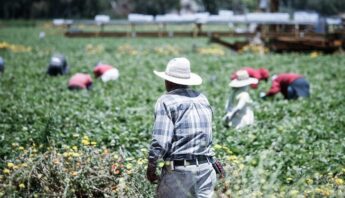 farmworkers day