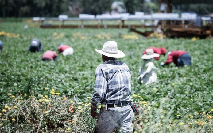 farmworkers day