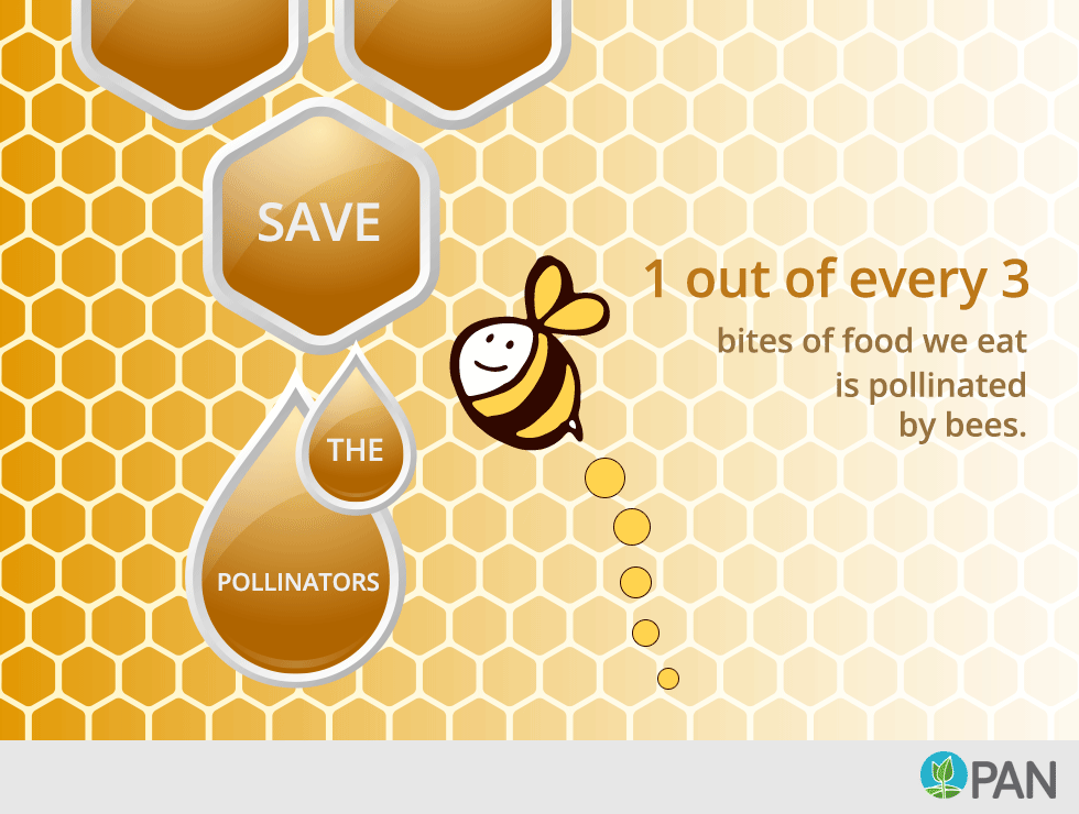 The Secrets of Beekeeping - Slow Food International