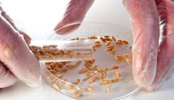 seeds in lab, corporate control