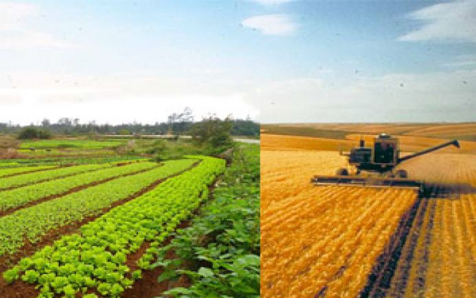 organic conventional farming