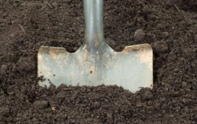 shovel soil