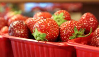 strawberries basket