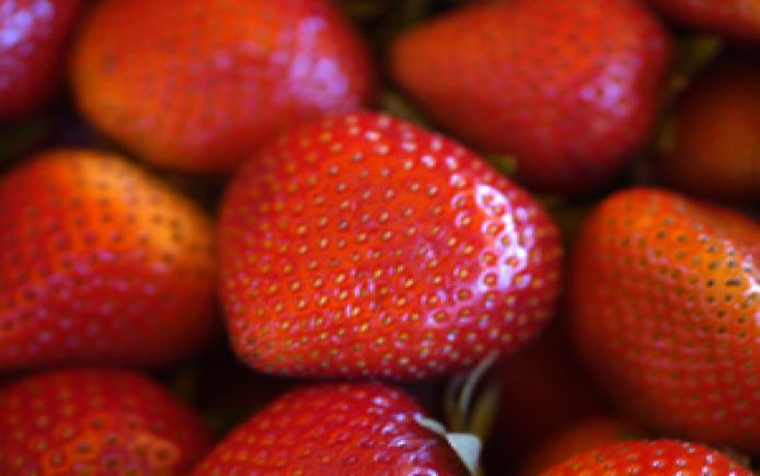 strawberries blog