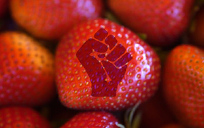 strawberries victory