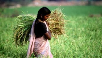 woman rice india