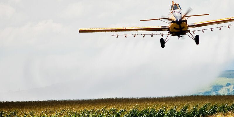 lead image cropduster2