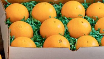 organic oranges