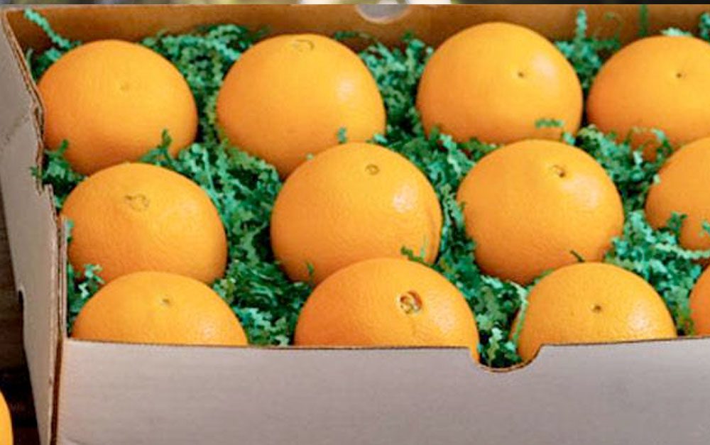 organic oranges