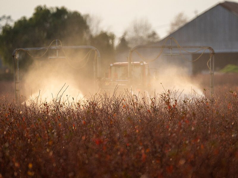 Pesticide spray farm