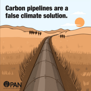 carbonpipeline