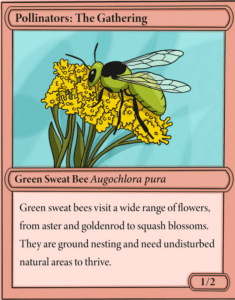 pollinatorcardgreenbee