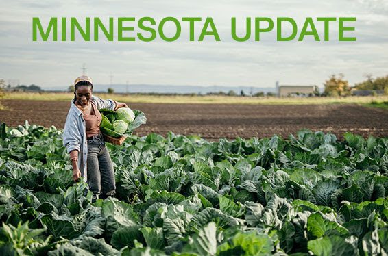 Minnesota PAN Updates