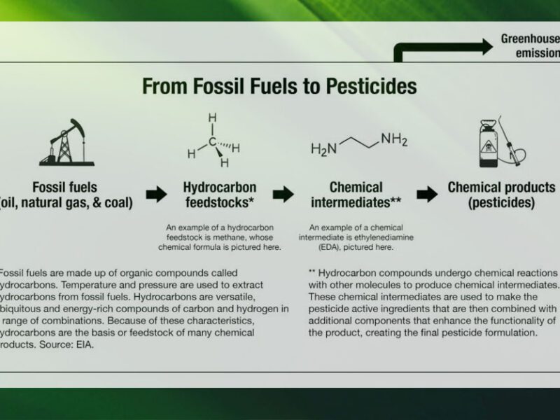 Fossil Fuels to Pesticides