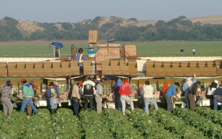california farm workers