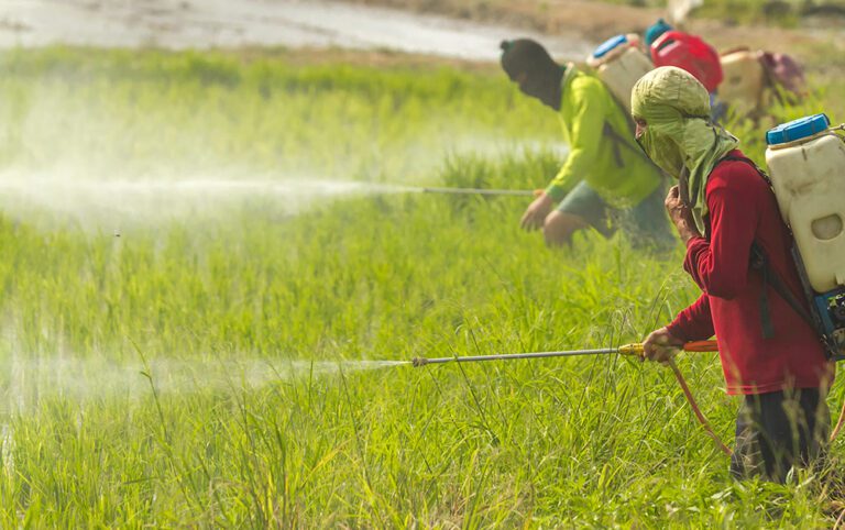 global pesticides spraying