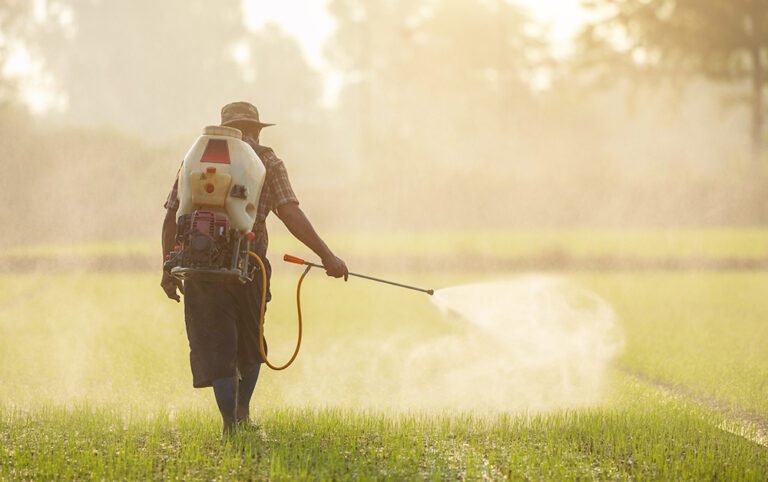 Man spraying pesticides by hand
