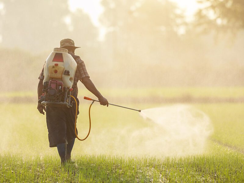 Man spraying pesticides by hand