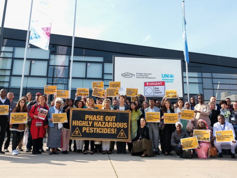 A large group of people stand in front of the entrance to the World Conference center. They hold signs demanding the phasing out of highly hazardous pesticides with various strong messages.