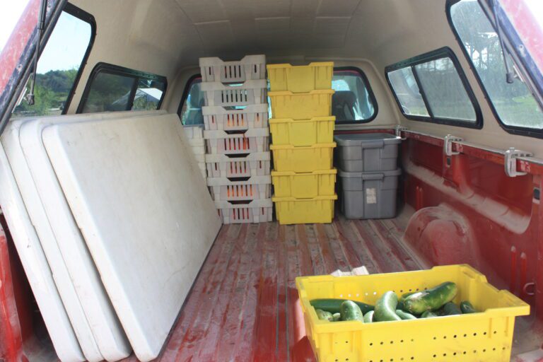 diverse harvest in a truck - agroecology